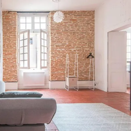 Apartment Le Rouge, Coeur De Montauban